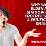 Why Won’t Elden Ring Shadow of the Erdtree Send Me a Verification Email?